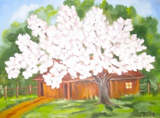 Joann Blake - Pear Tree in bloom