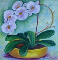 Joann Blake - Pink Orchid