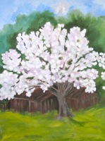Joann Blake - White Blossoms